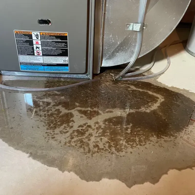 Appliance Leak Cleanup in Albany, MO